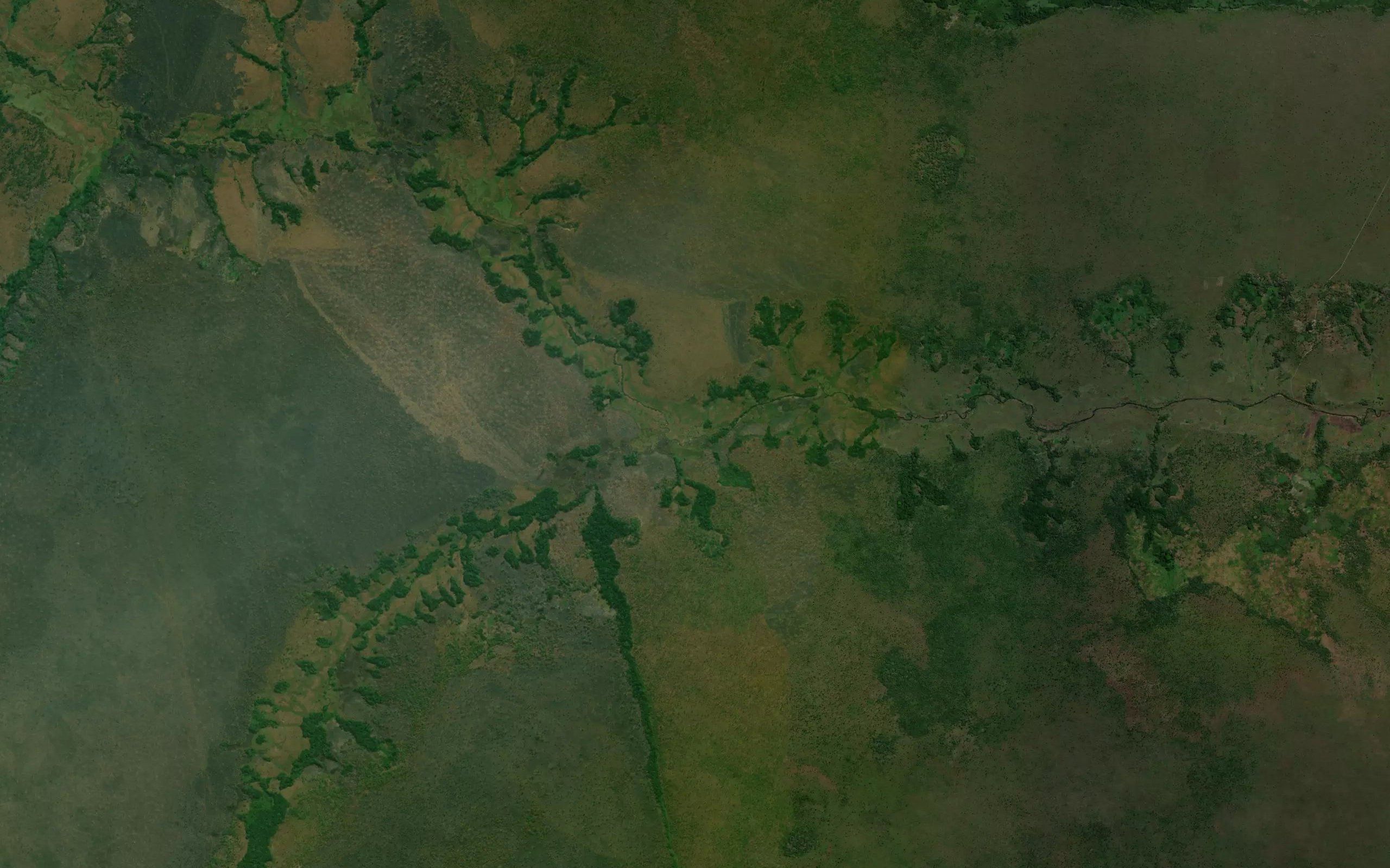 Kipupa