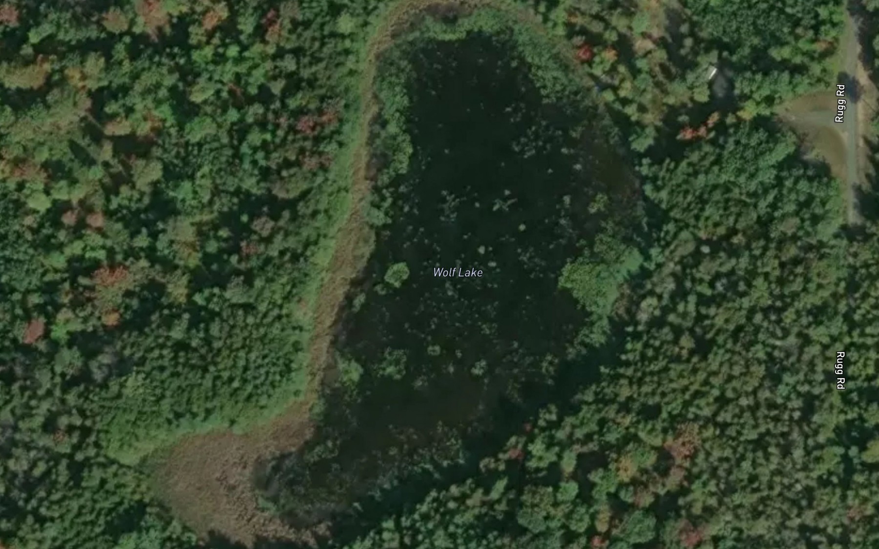 Satellite map of the Wolf Lake