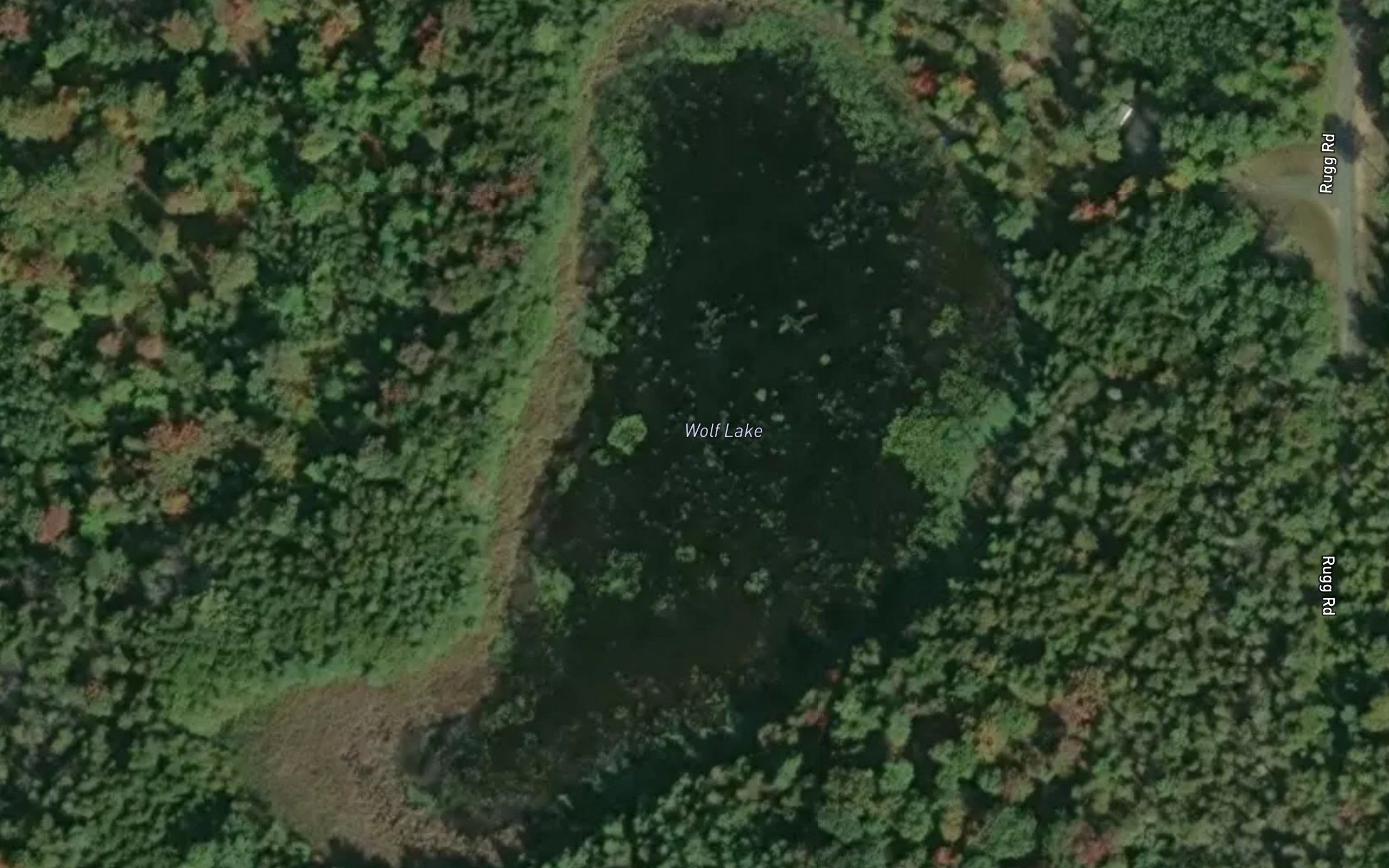 Wolf Lake