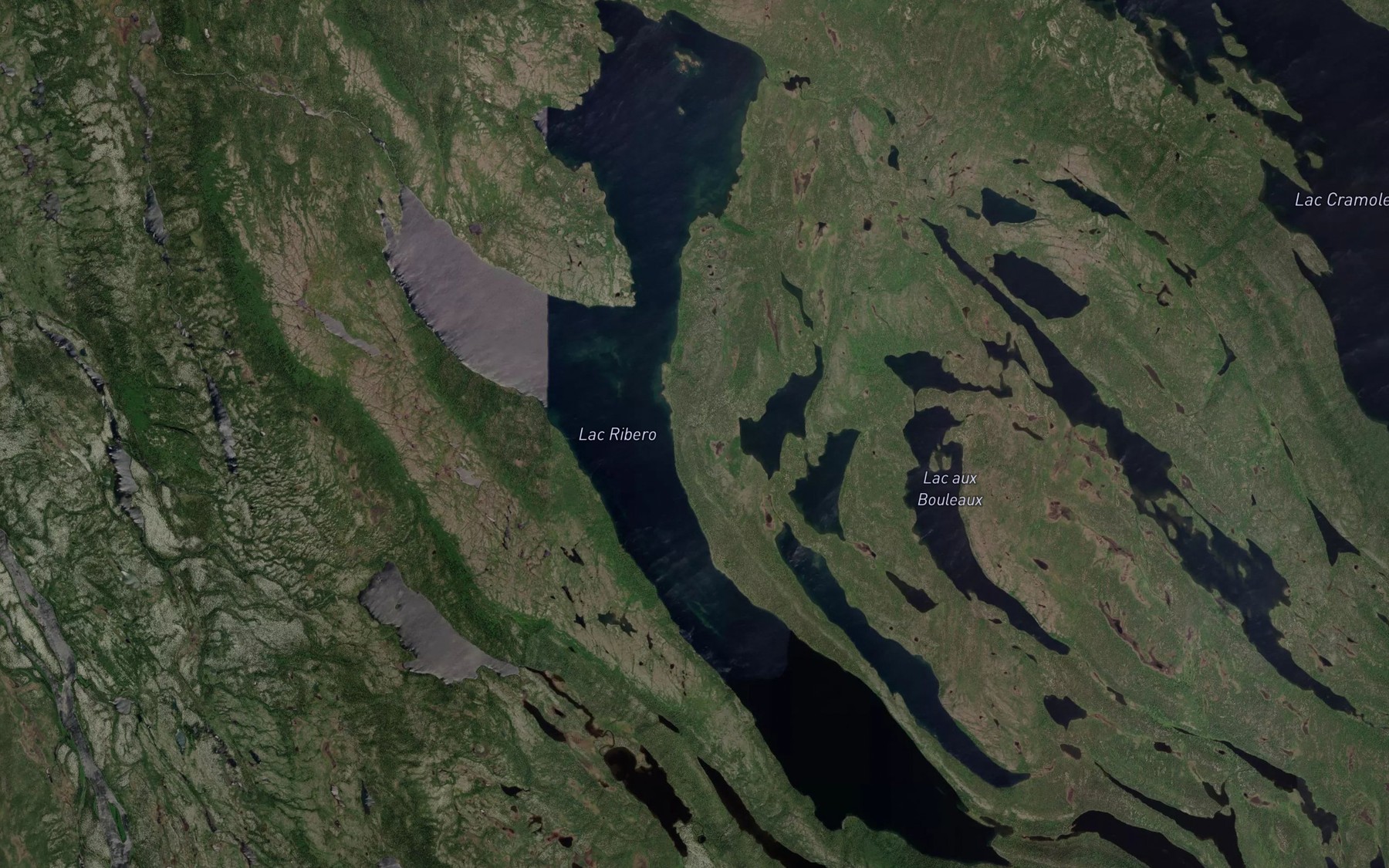 Satellite map of the Lac Ribero