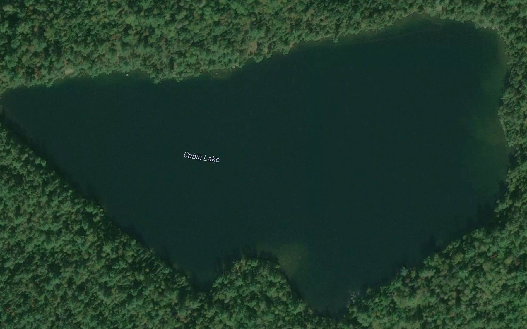 Satellite map of the Cabin Lake