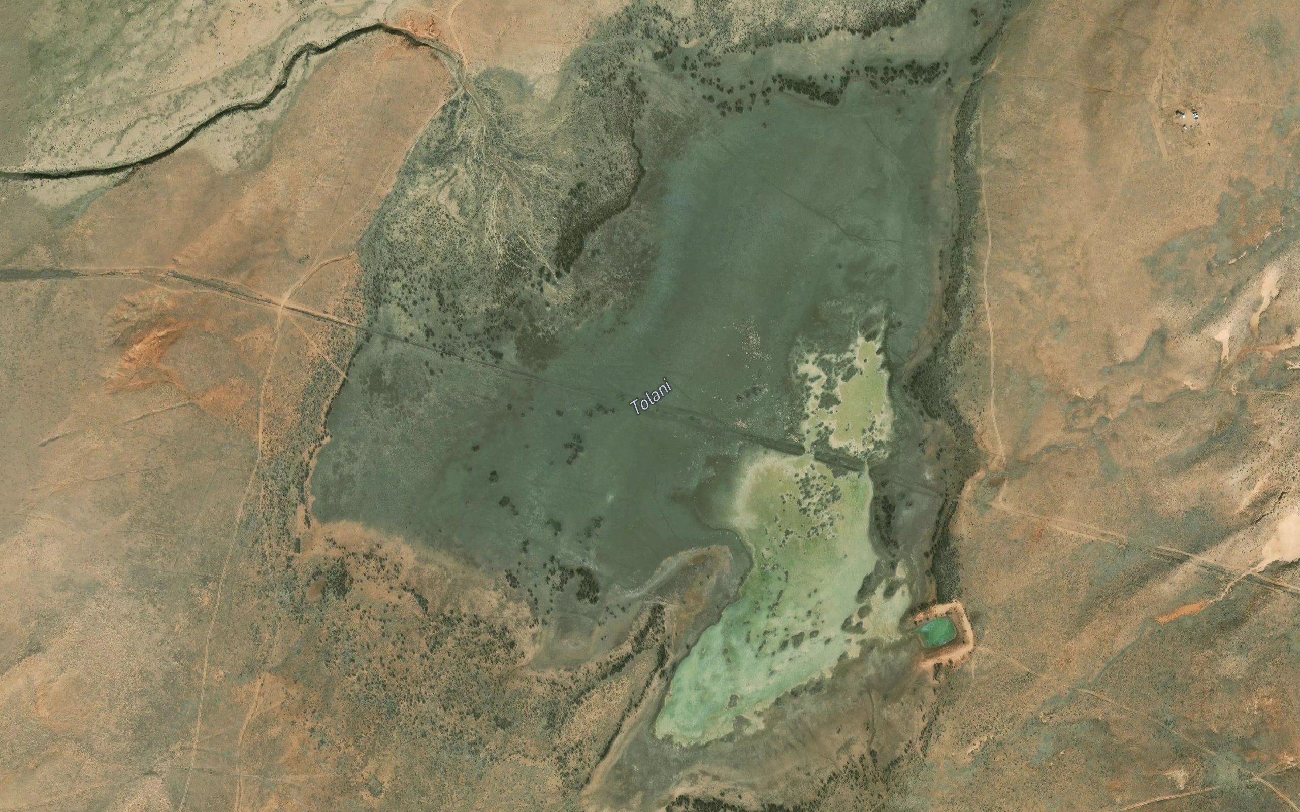 Tolani