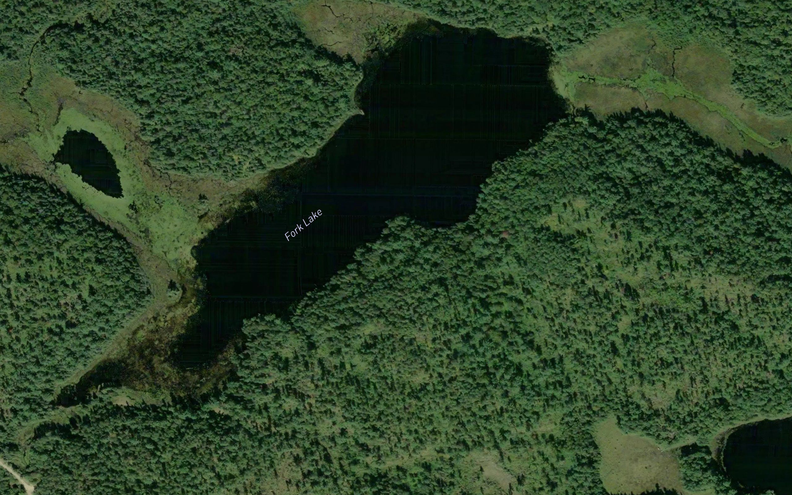 Fork Lake