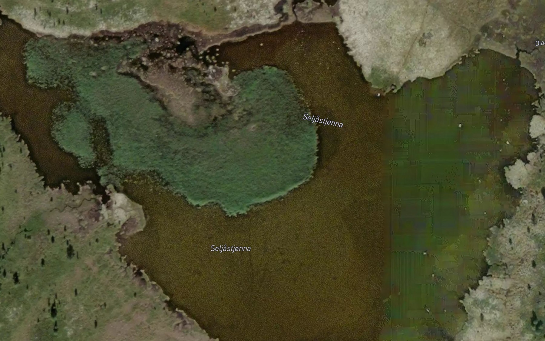 Satellite map of the Seljetjorna