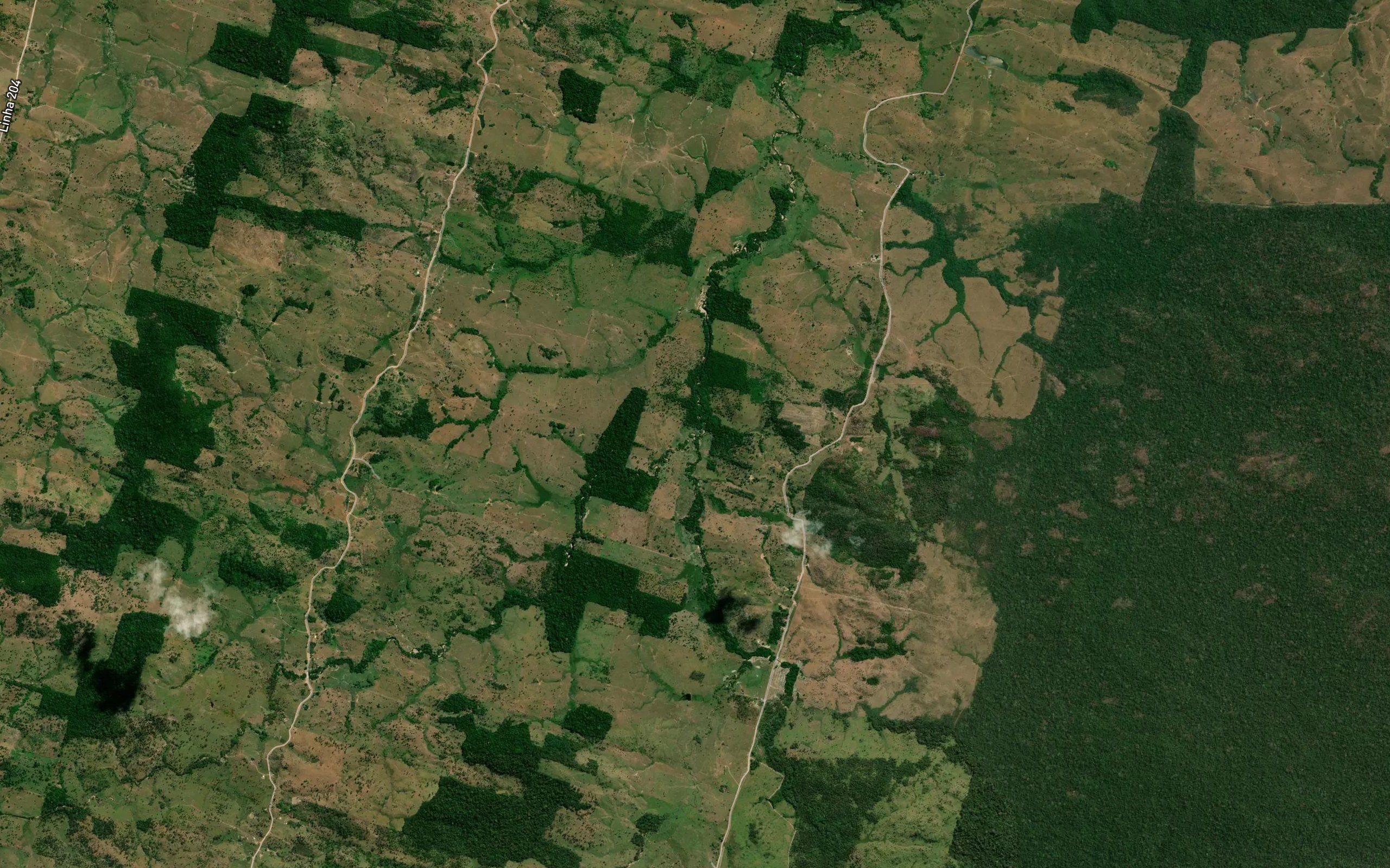 Igarape da Tiririca