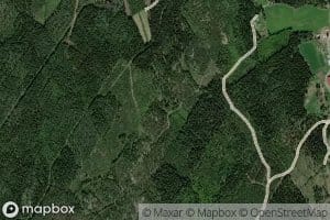 Sarviviidan Saviprunnit