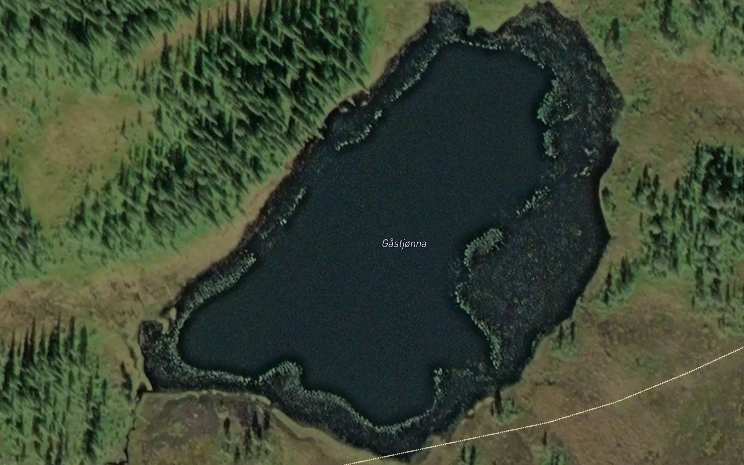 Gastjorna