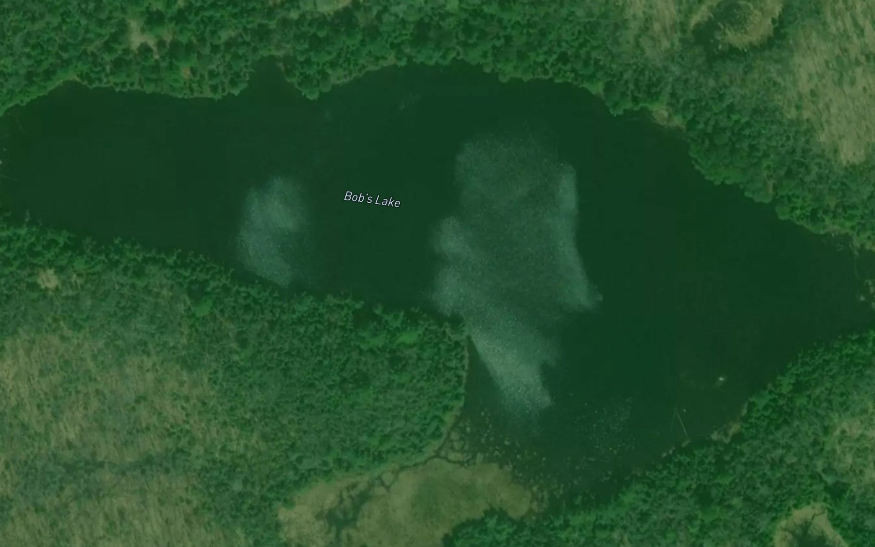 Satellite map of the Bob's Lake
