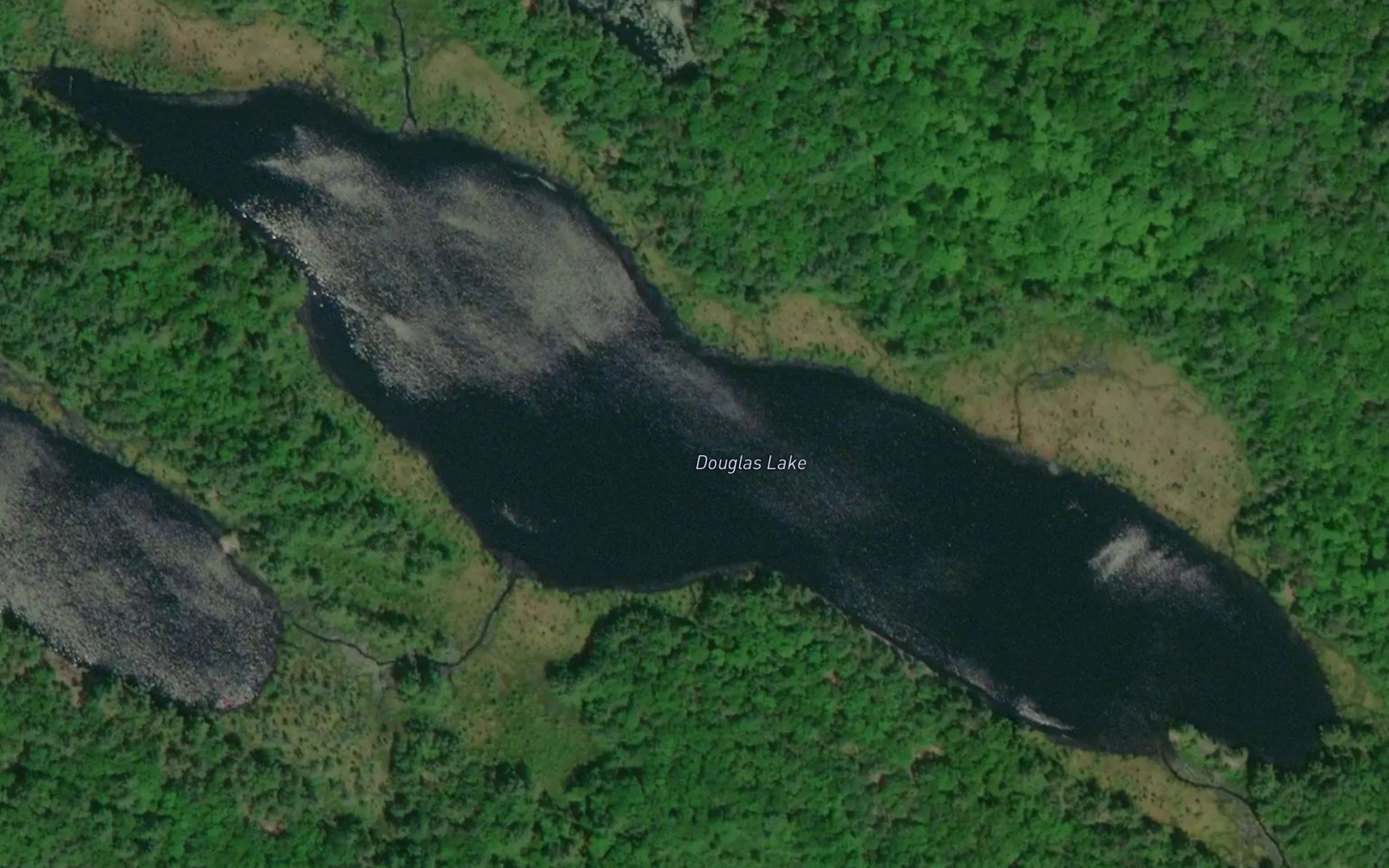 Douglas Lake