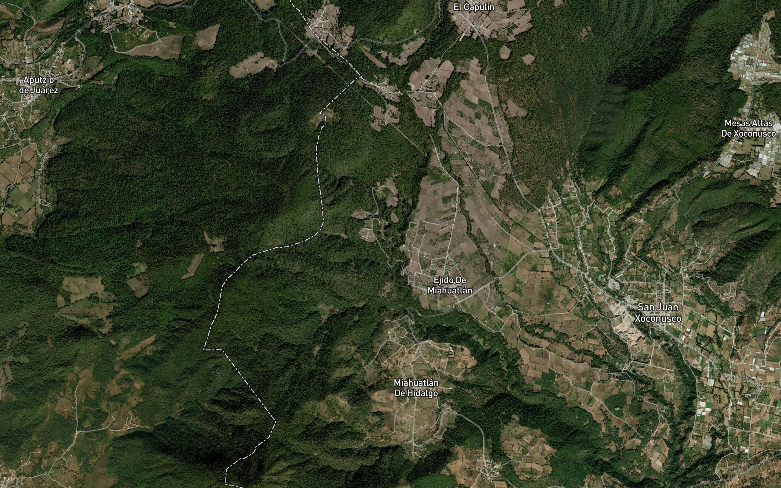 La Nopalera