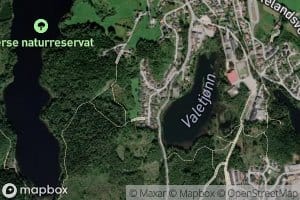 Valetjonn
