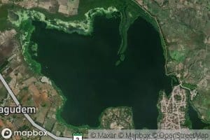 Tummalgudem Pedda Cheruvu