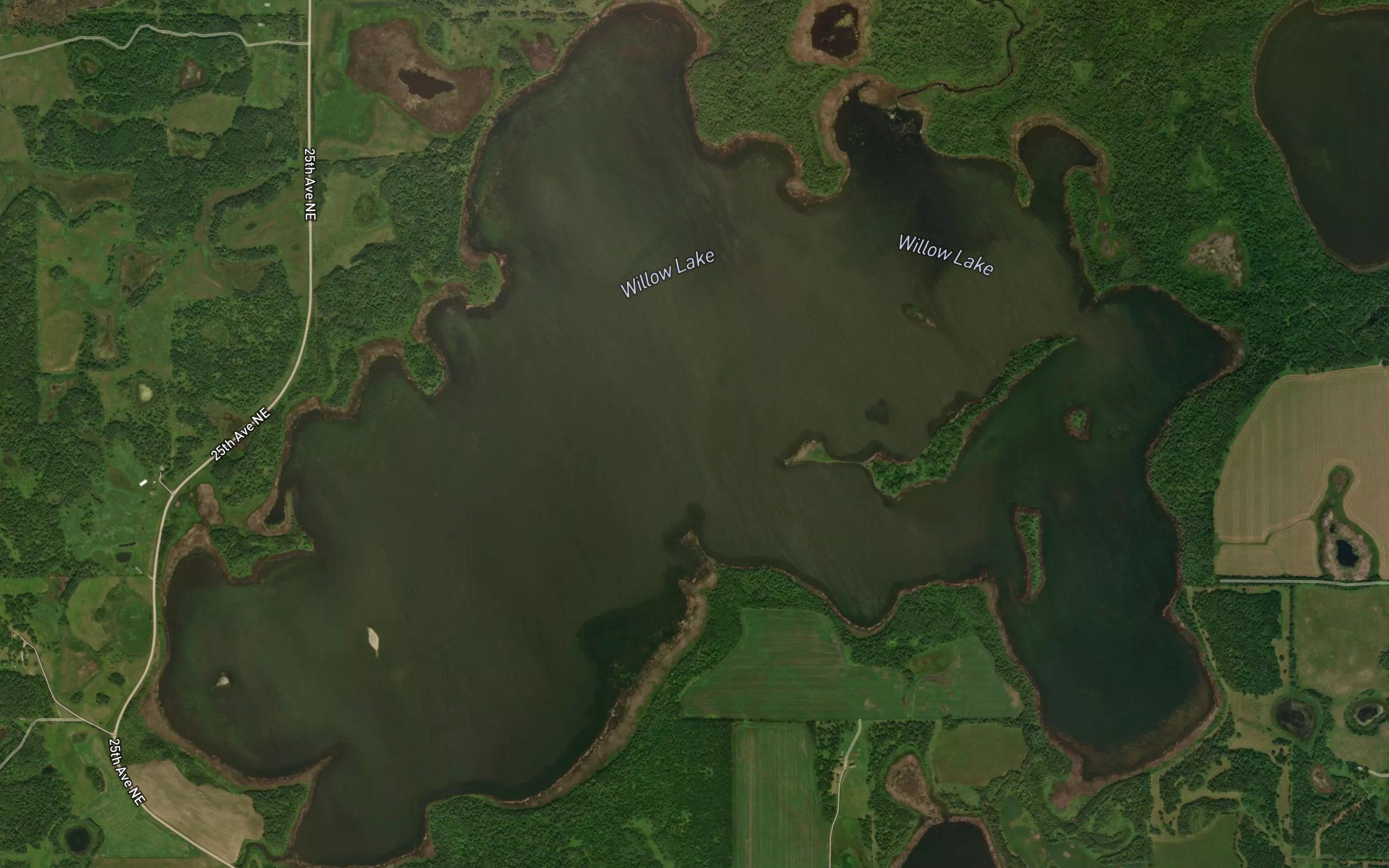 Willow Lake
