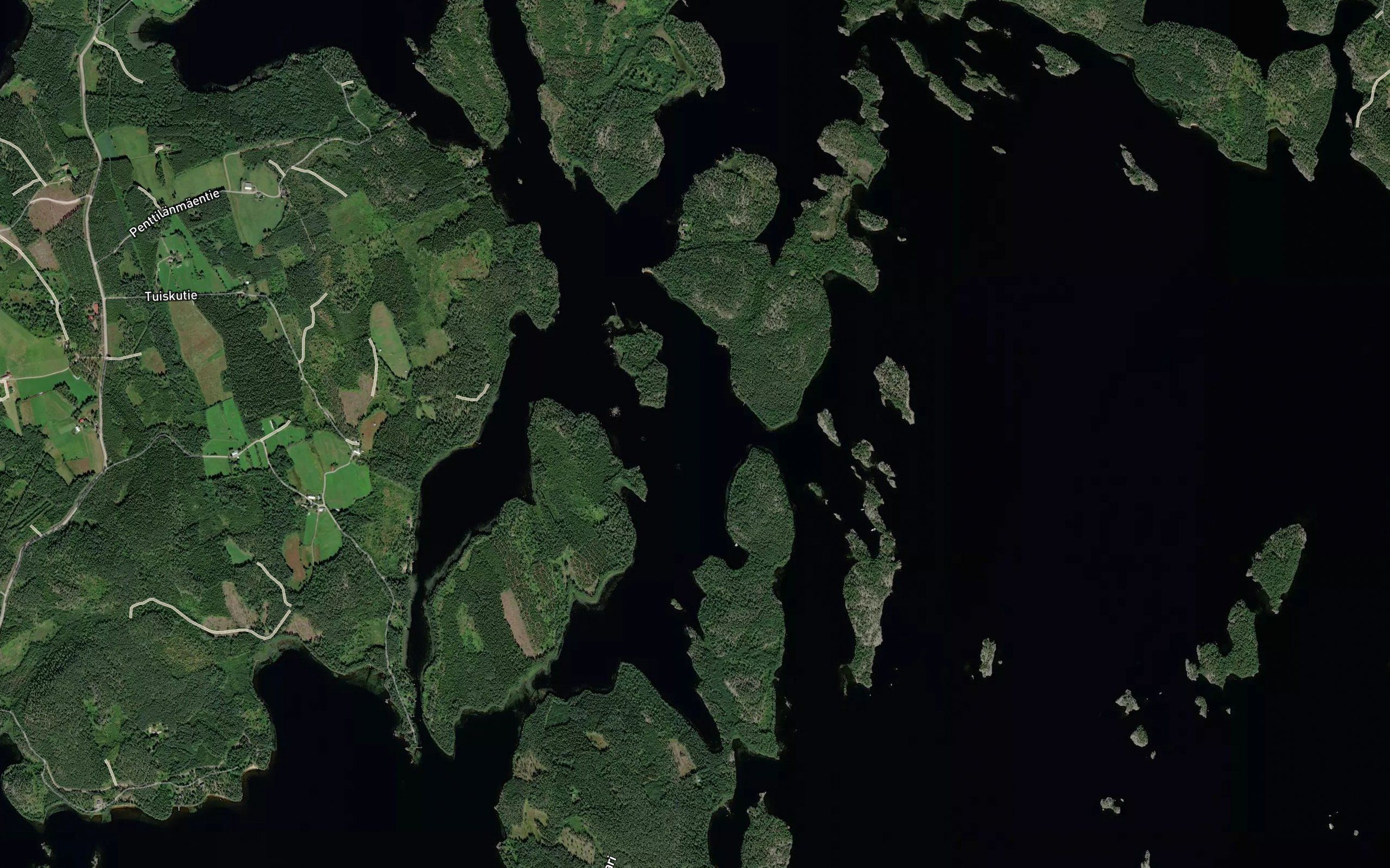 Kapustavesi