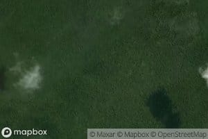 Rantau Jelutong Manggang