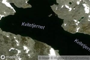 Kvitetjednet
