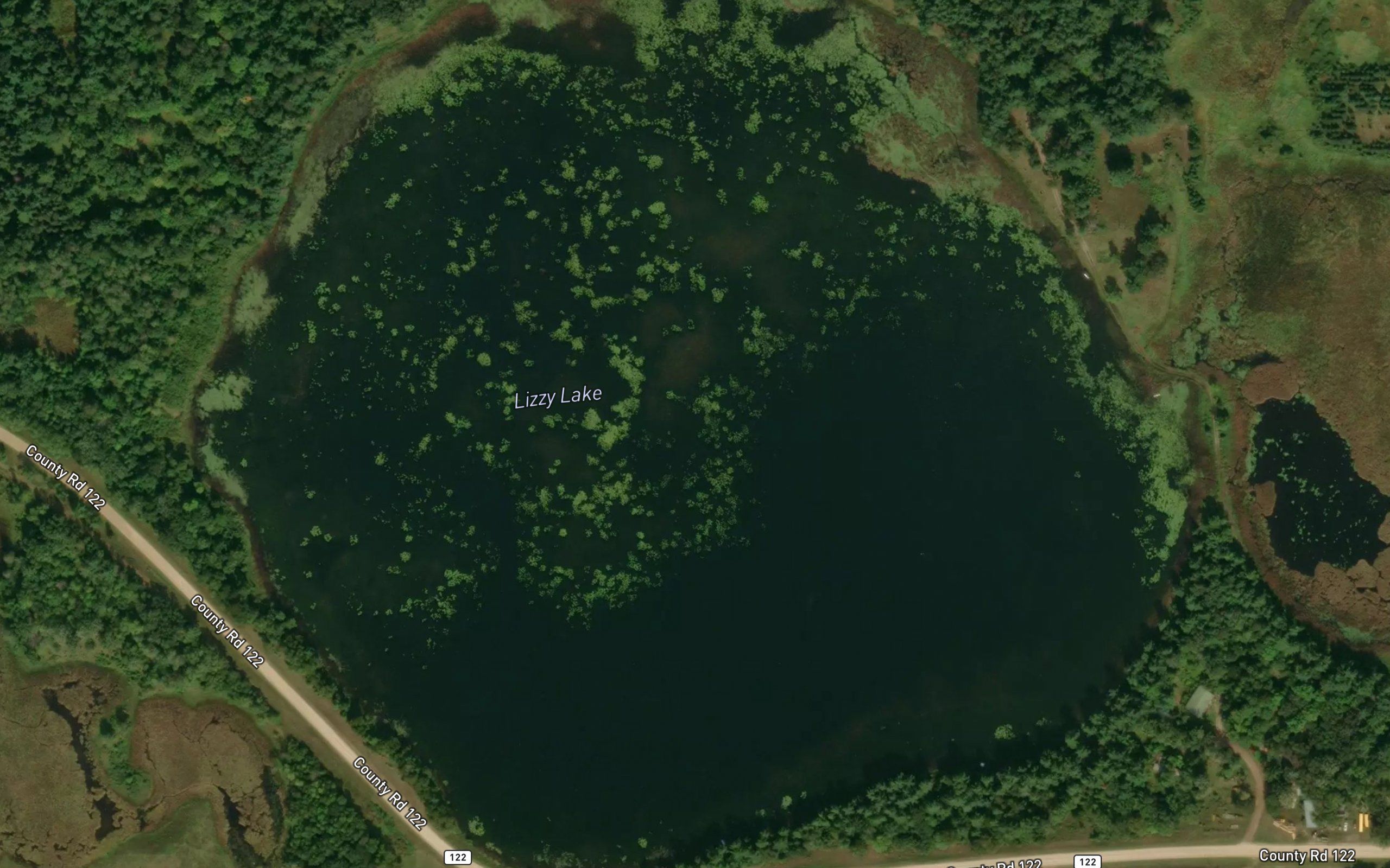 Lizzy Lake