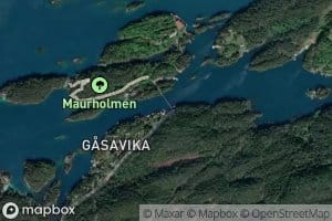 Gasavika