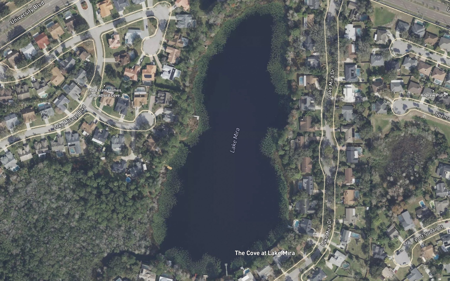 Satellite map of the Lake Mira