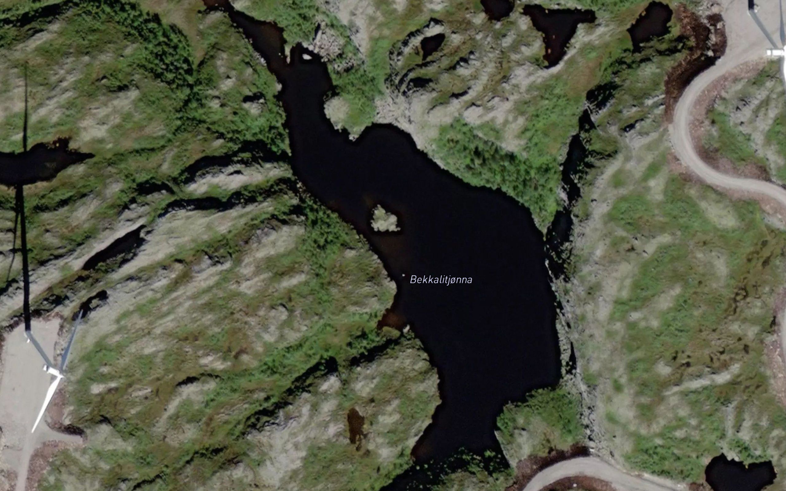 Bekkjalitjorna