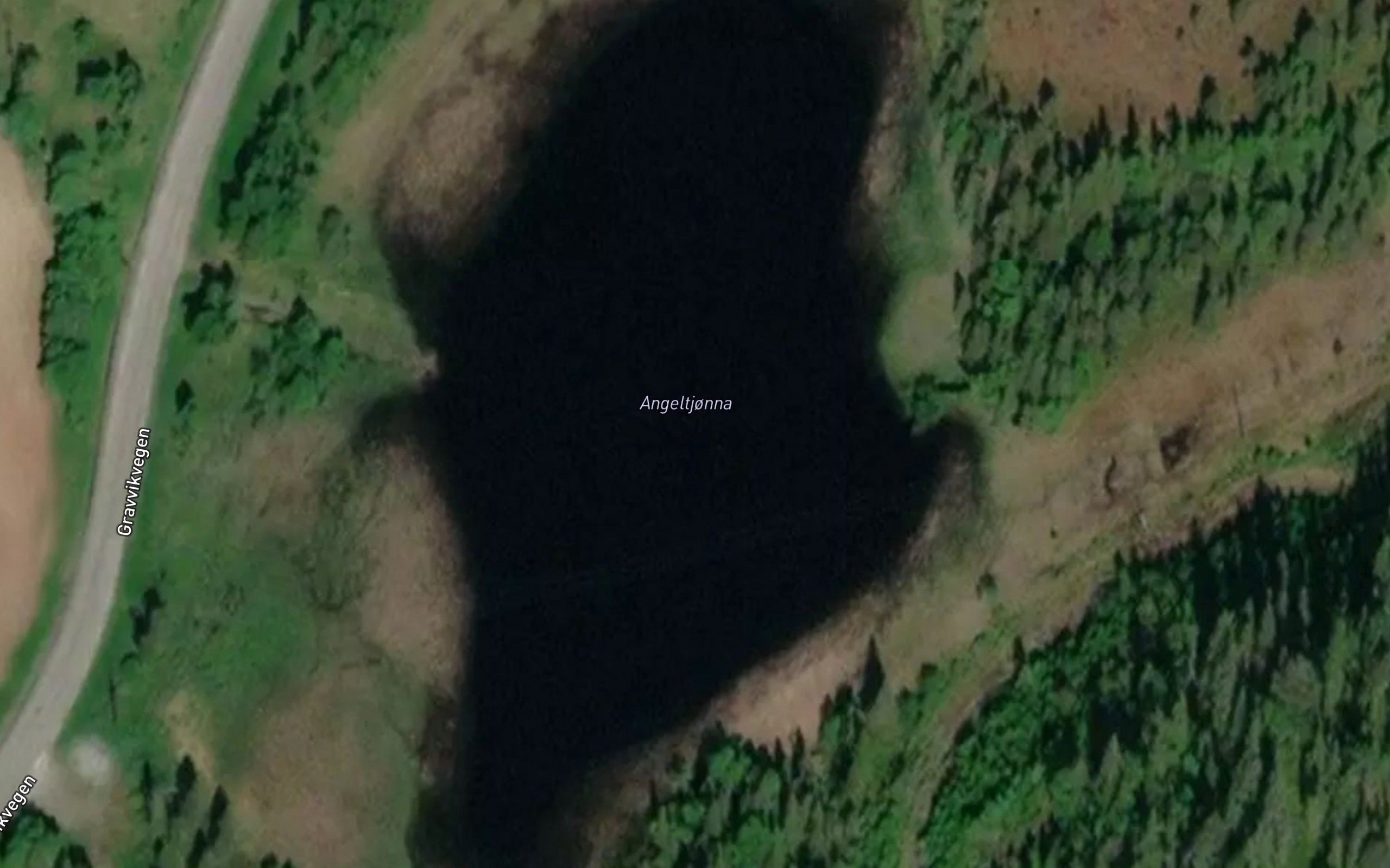 Angeltjorna