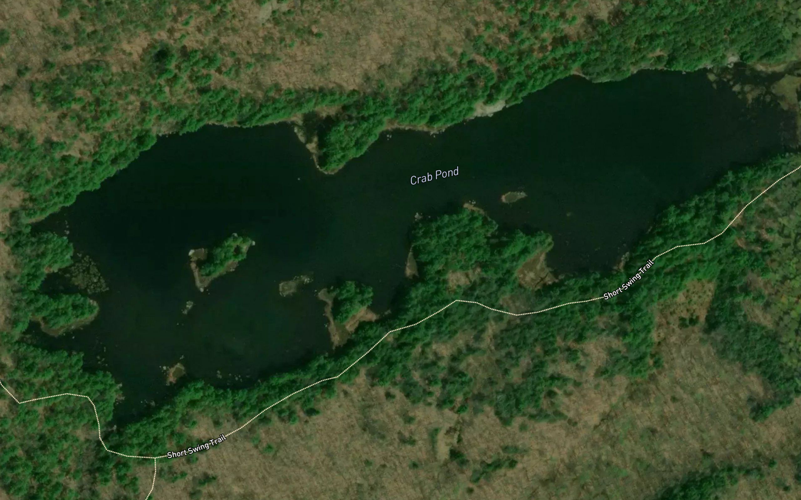 Crab Pond