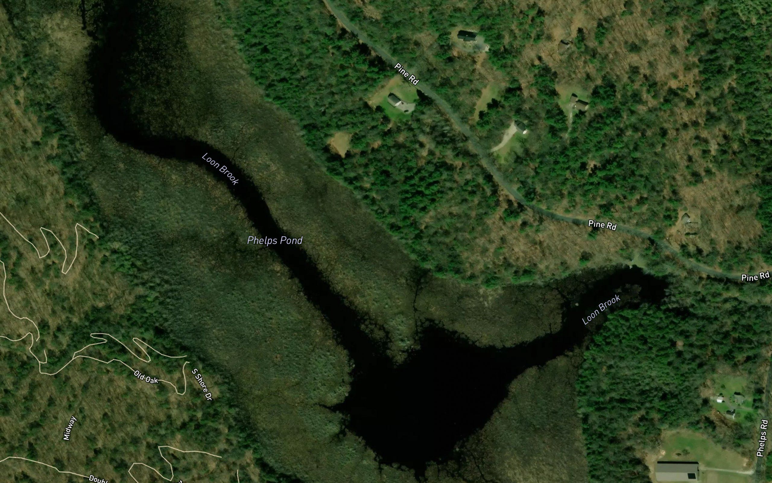 Phelps Pond