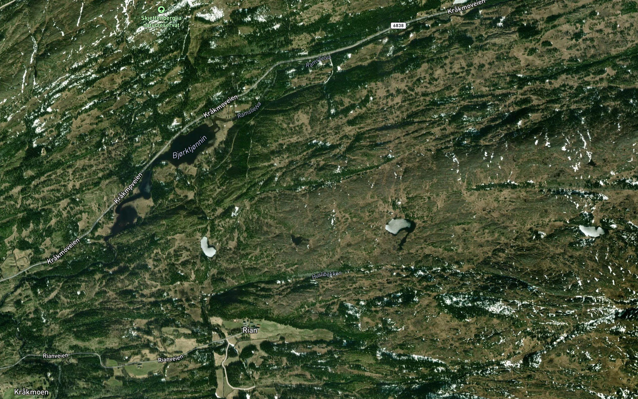 Lauvlitjonna