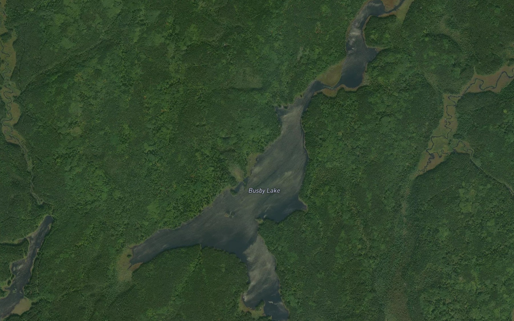 Satellite map of the Busby Lake