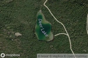 Deer Lake