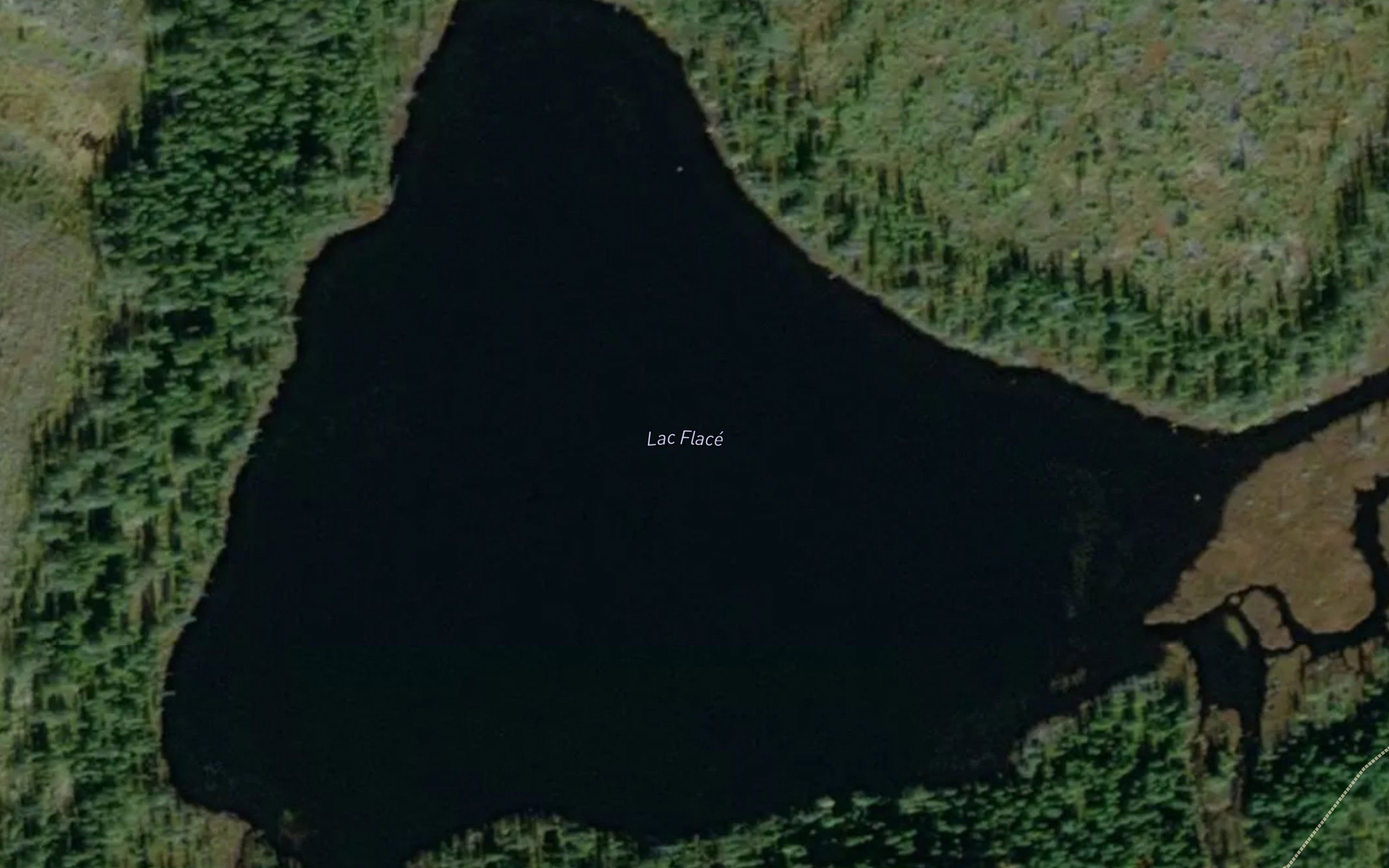 Lac Flace