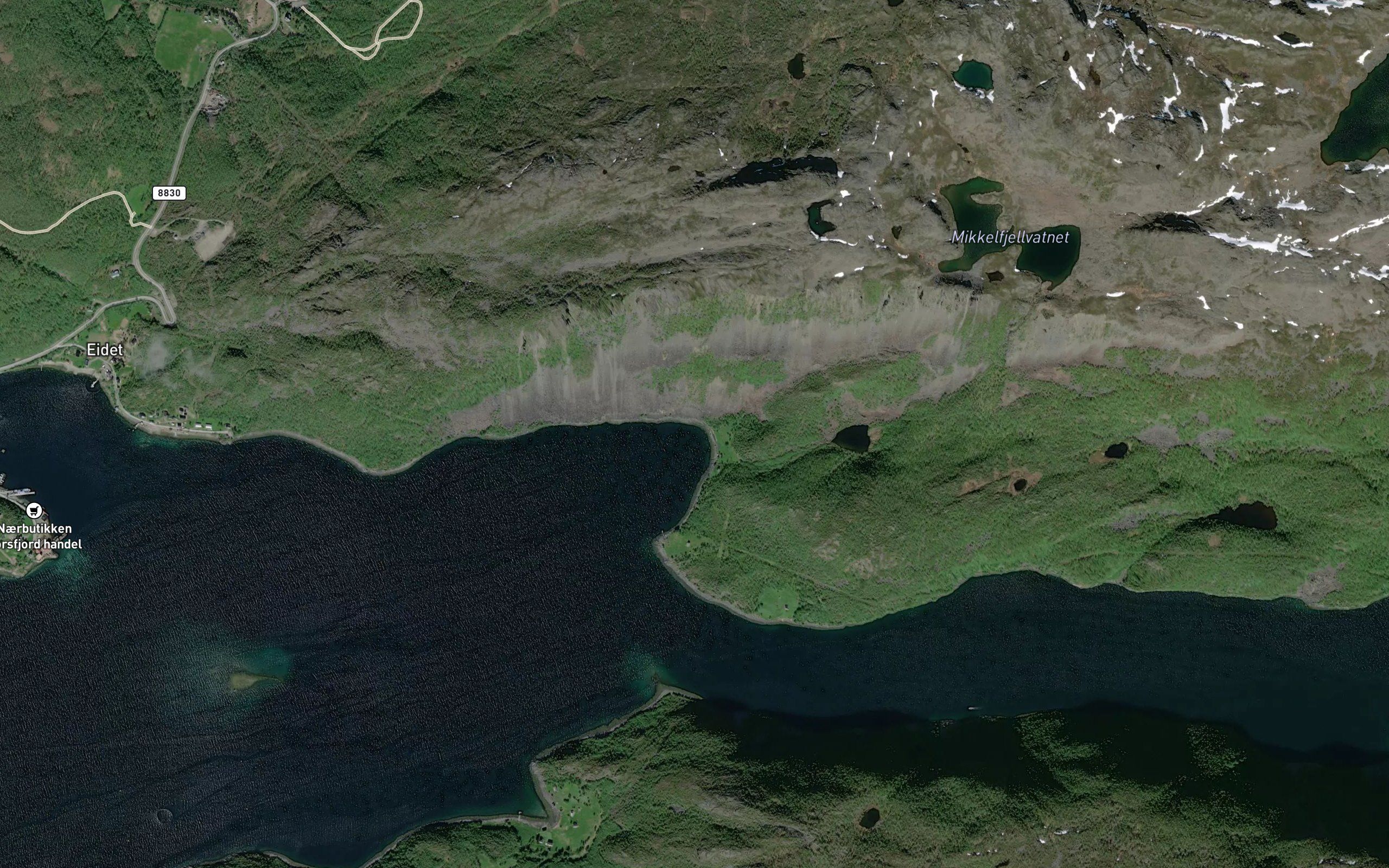 Mikkelgalgohppi
