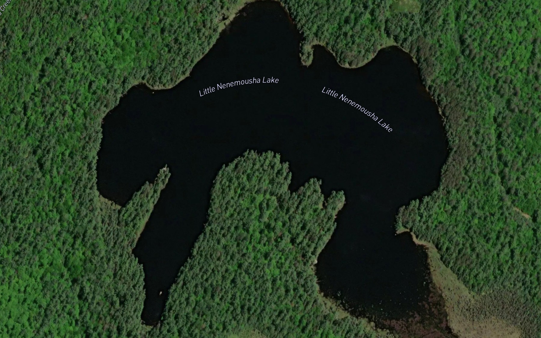 Satellite map of the Little Nenemousha Lake