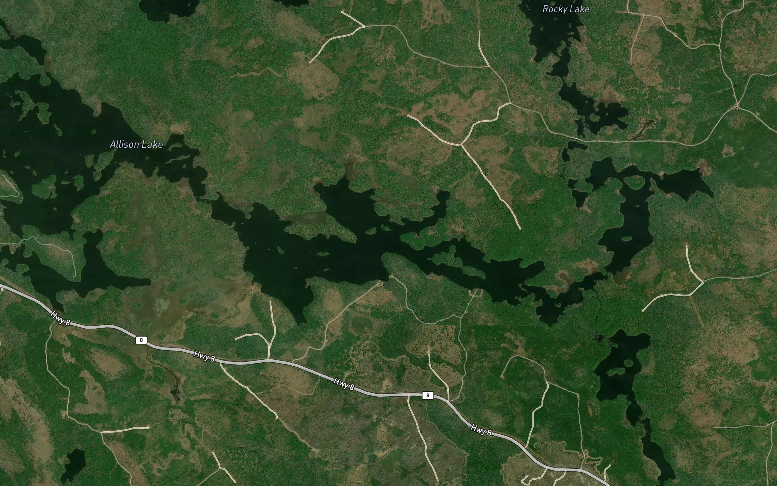 Eleven Mile Lake