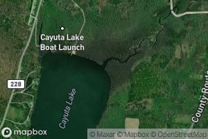 Cayuta Inlet