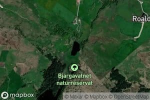 Bjergavatnet