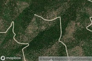 Morin Spring