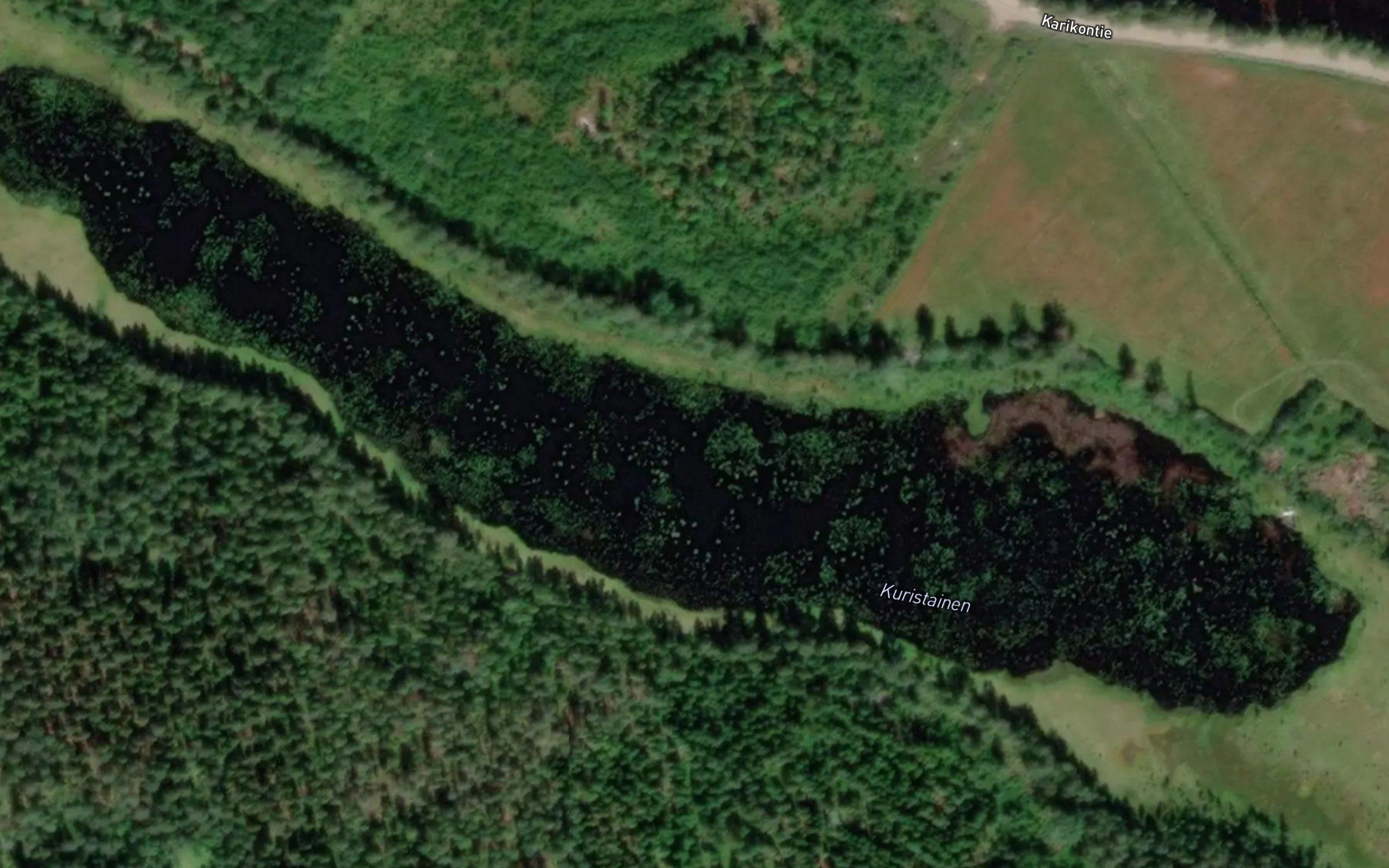 Kuristainen