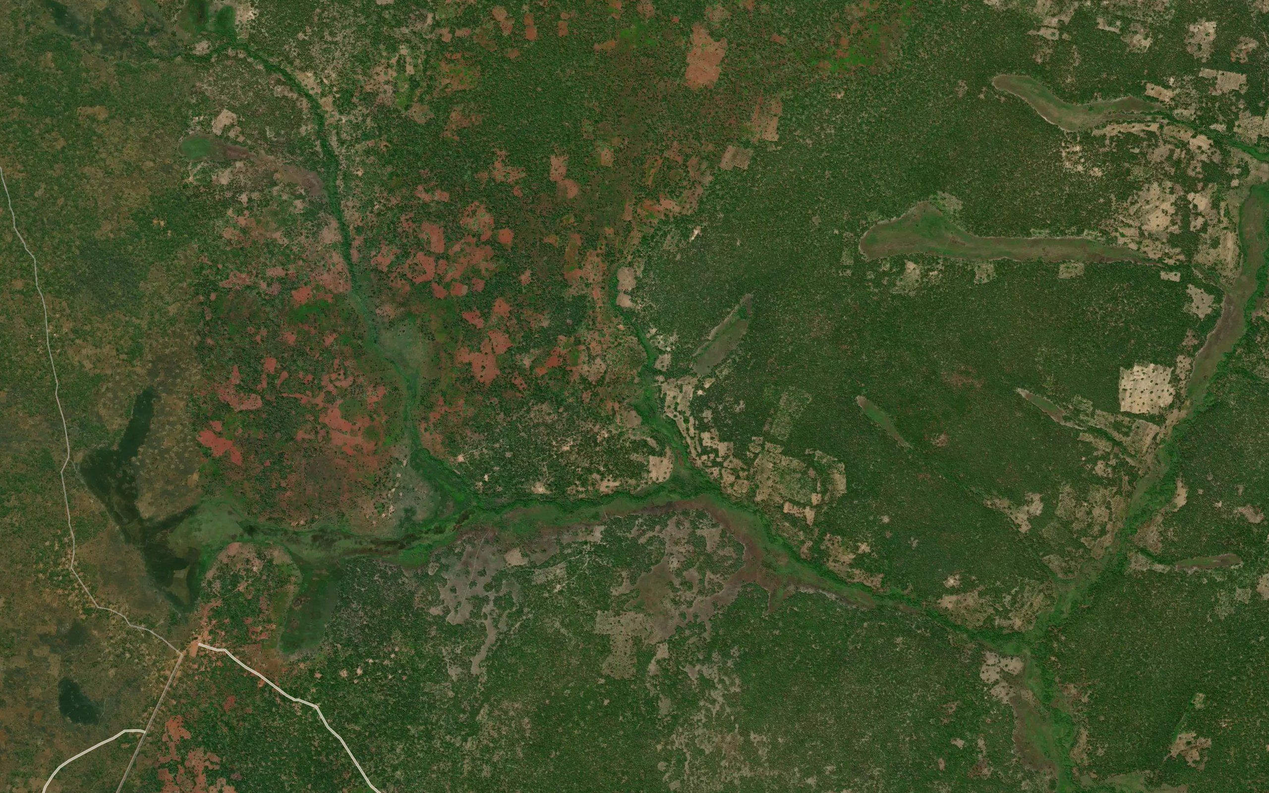 Chisangwa