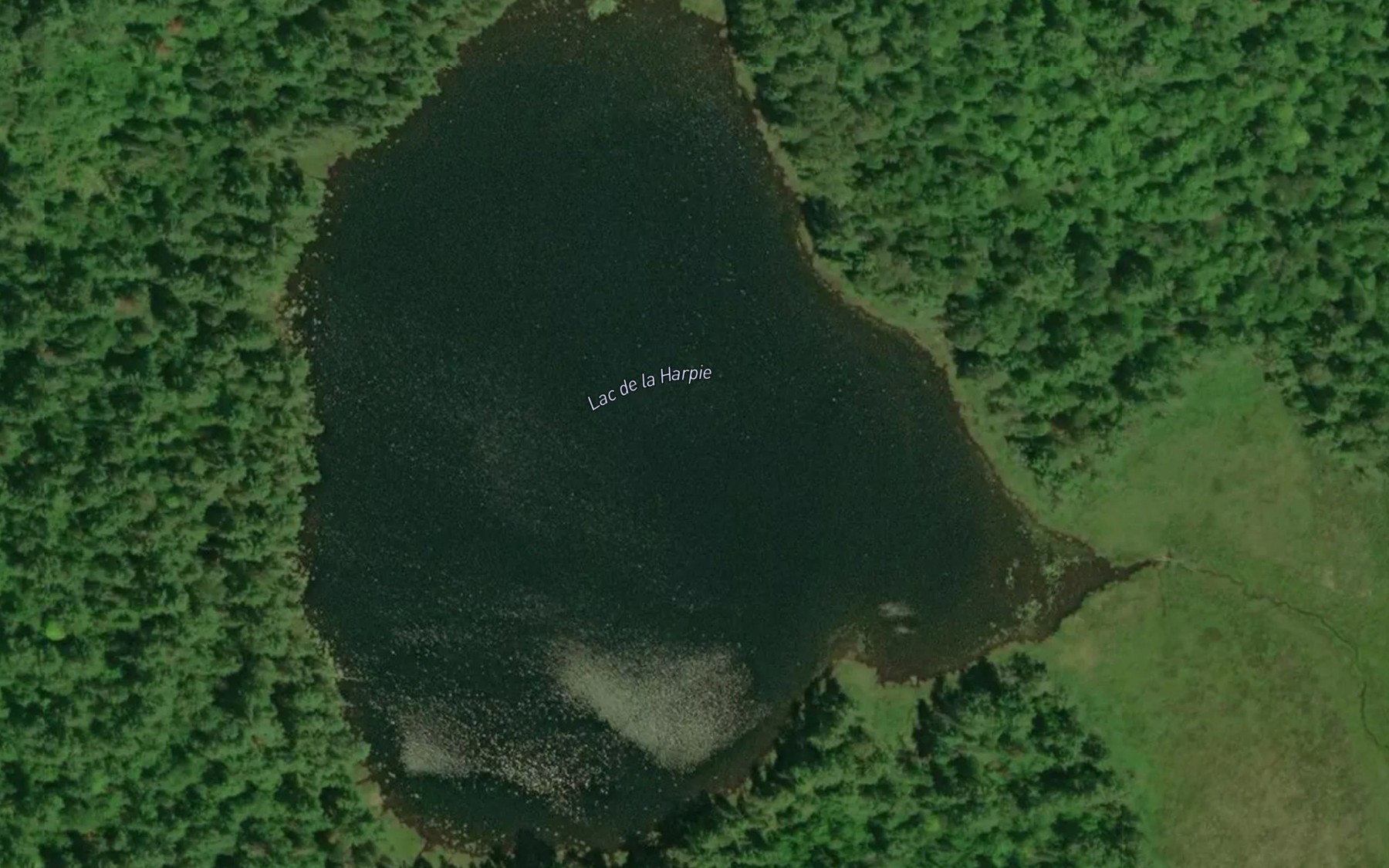 Satellite map of the Lac de la Harpie