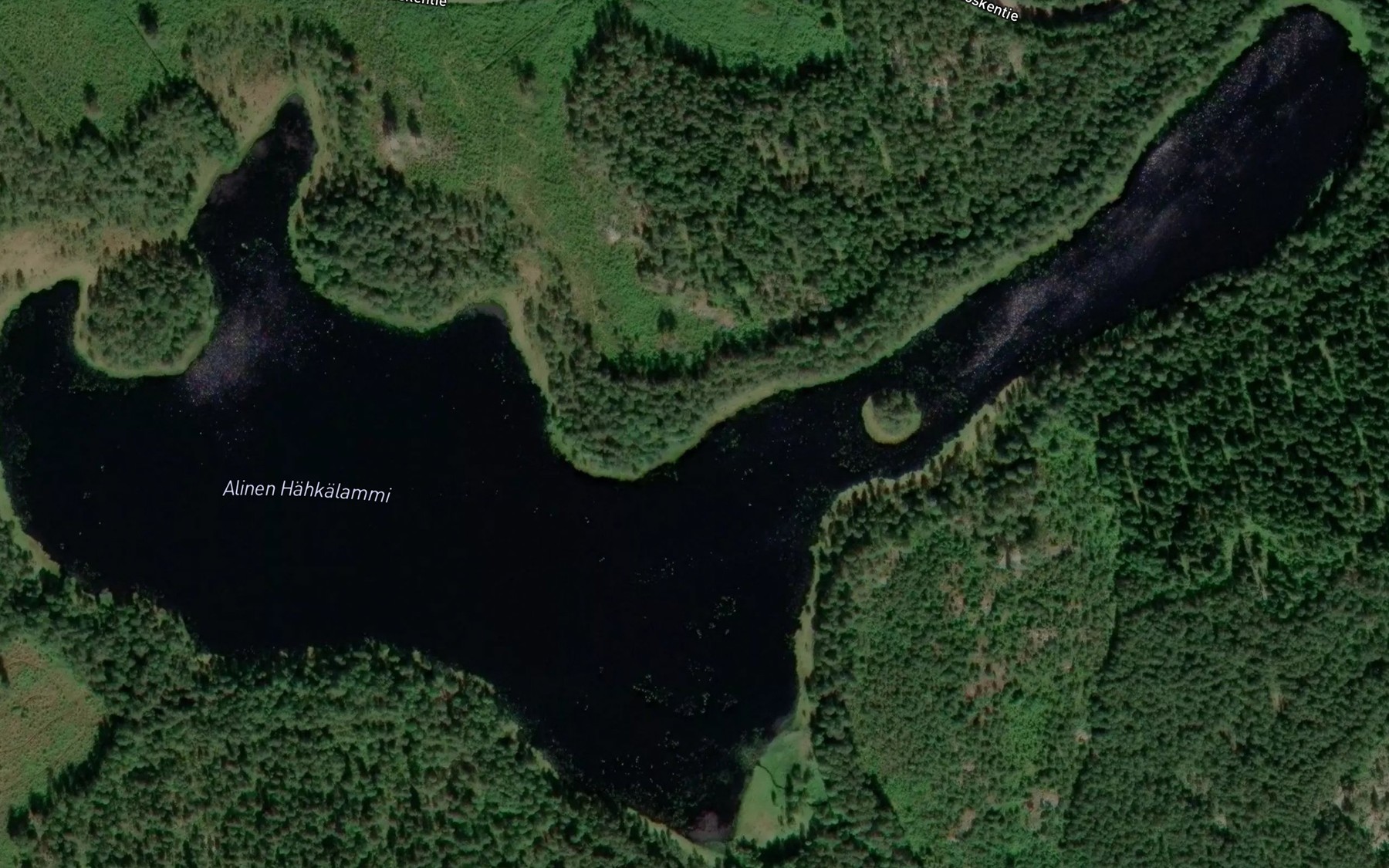 Satellite map of the Alinen Hahkalammi