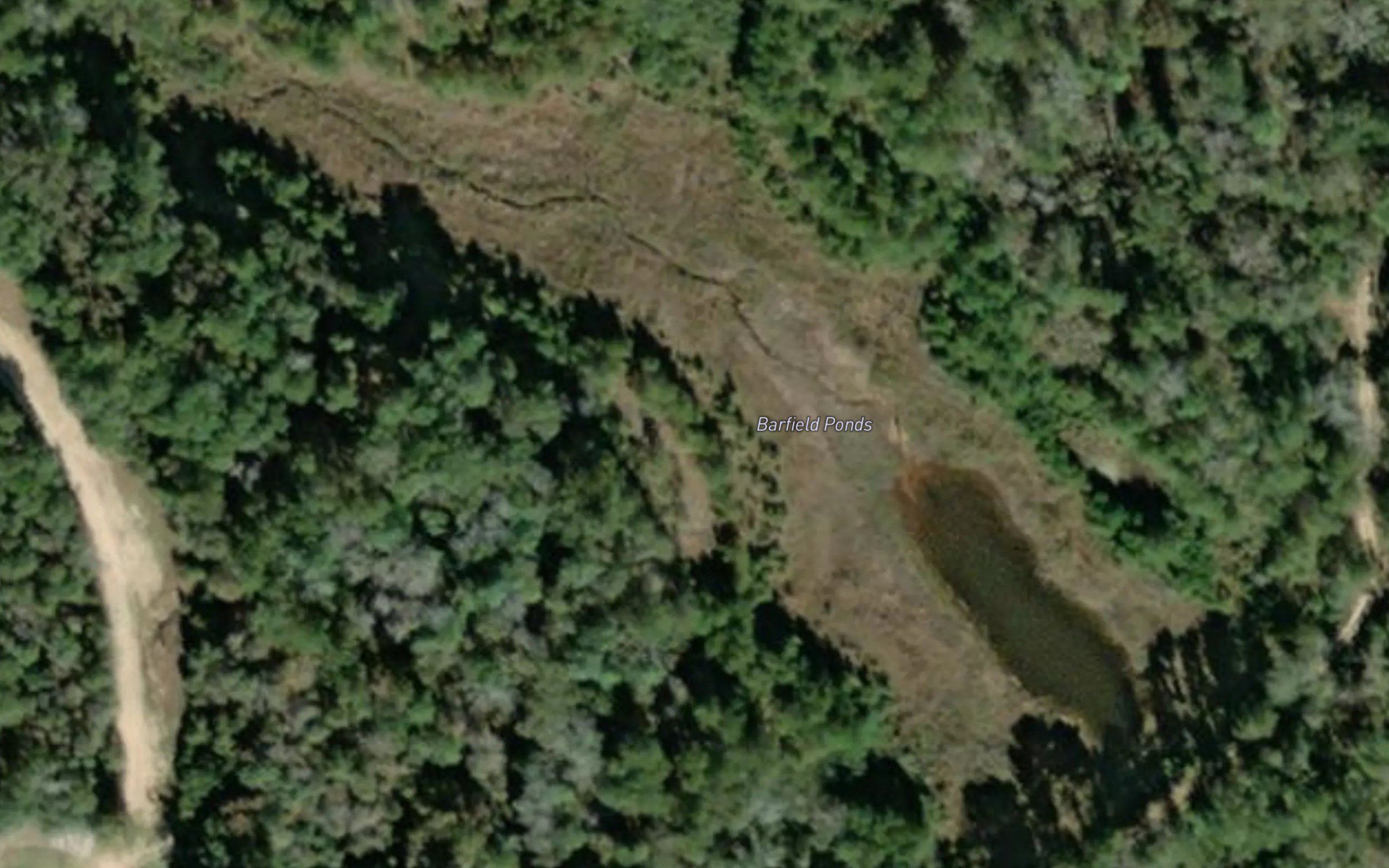 Barfield Ponds