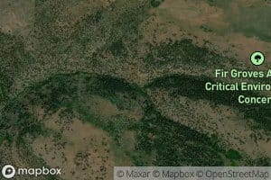 Little Fir Creek