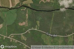 Rutherford Brook