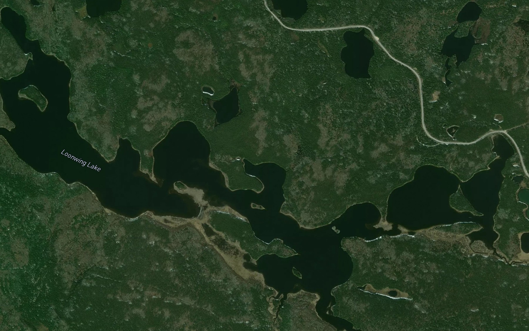 Satellite map of the Loonwing Lake