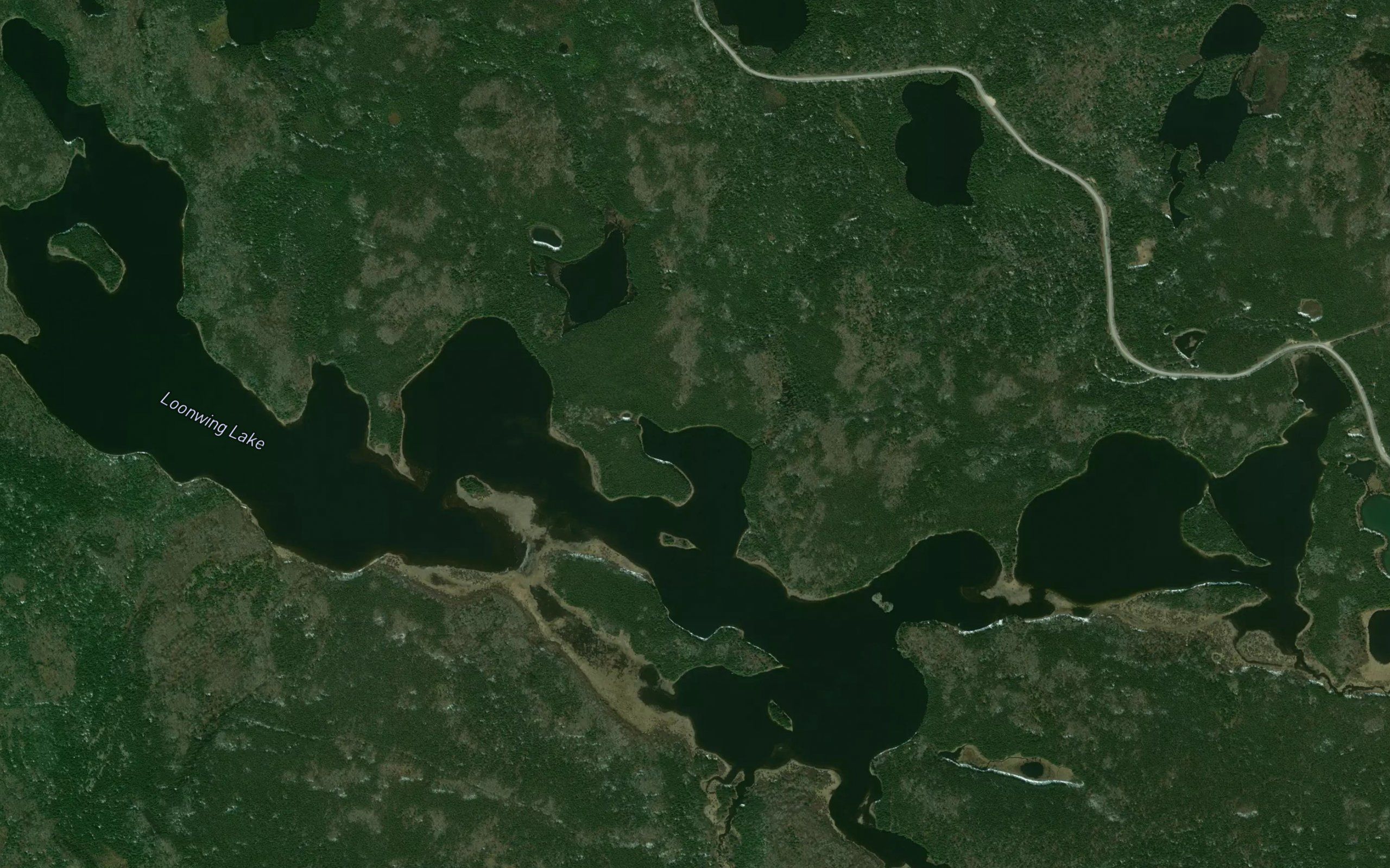 Loonwing Lake