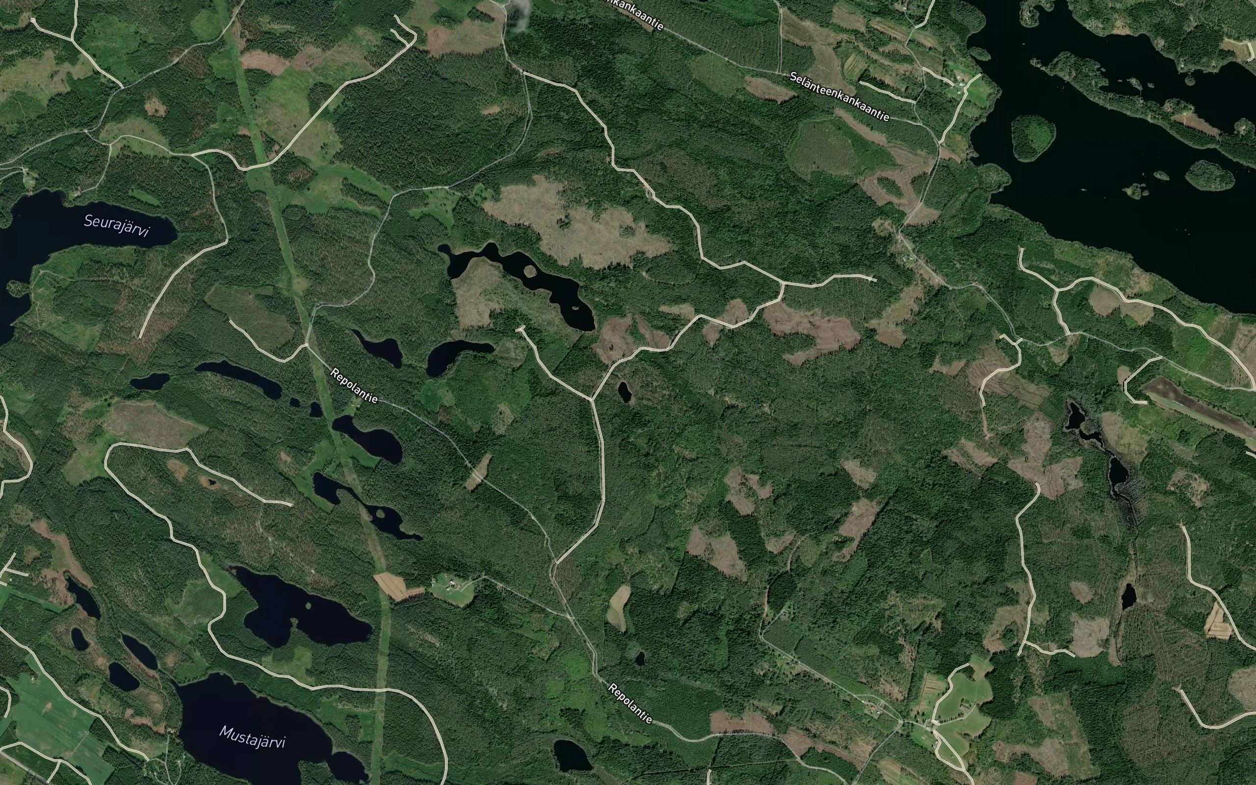 Saimaanlampi