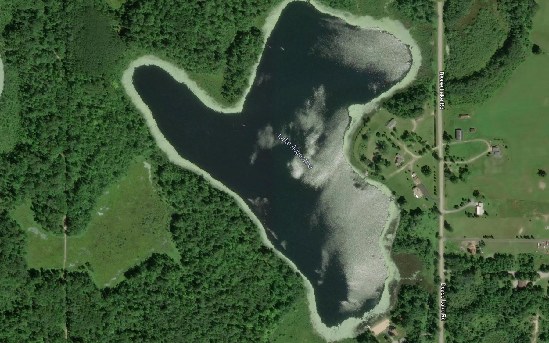 Satellite map of the Lake Augustina