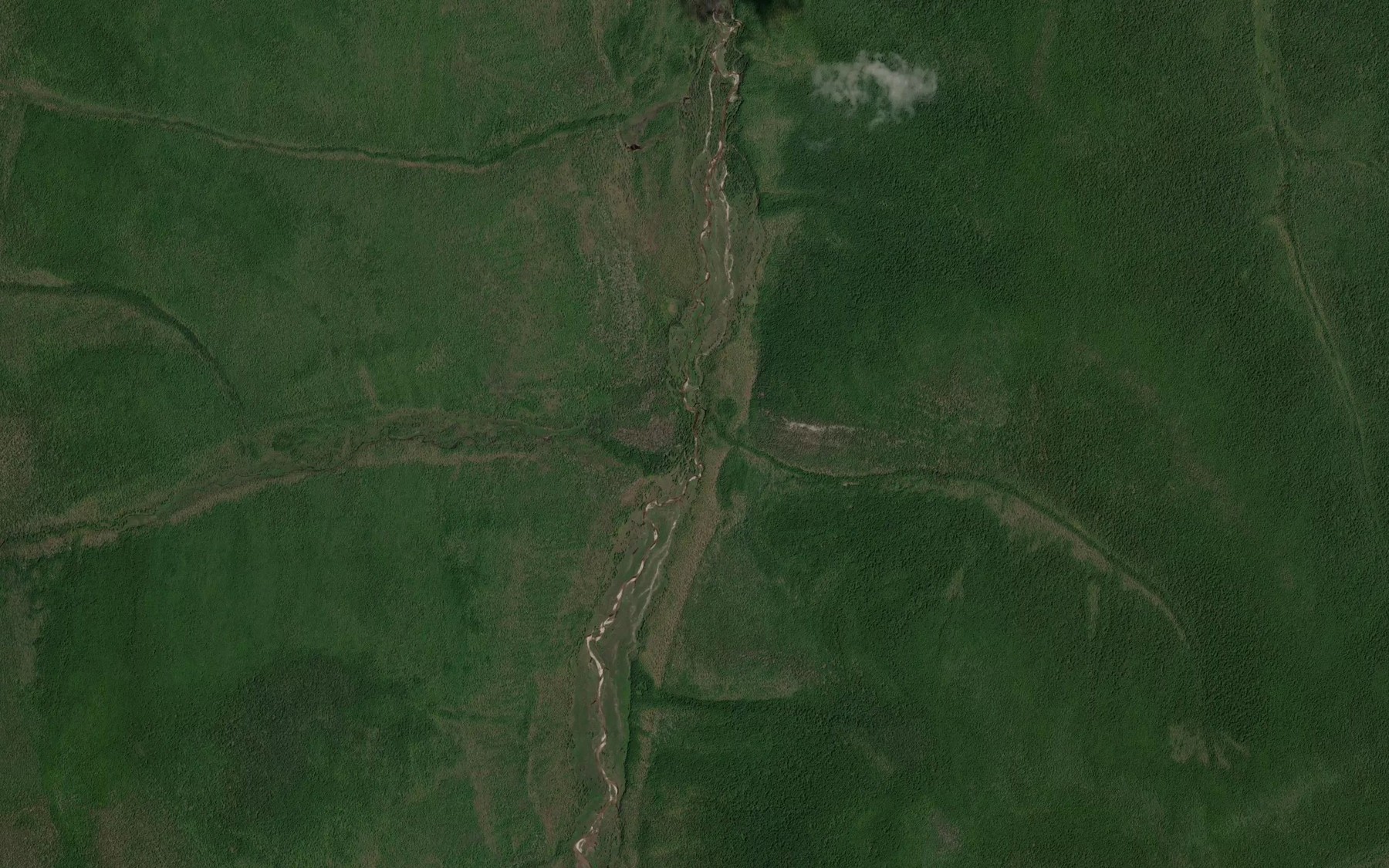 Satellite map of the Losinyy