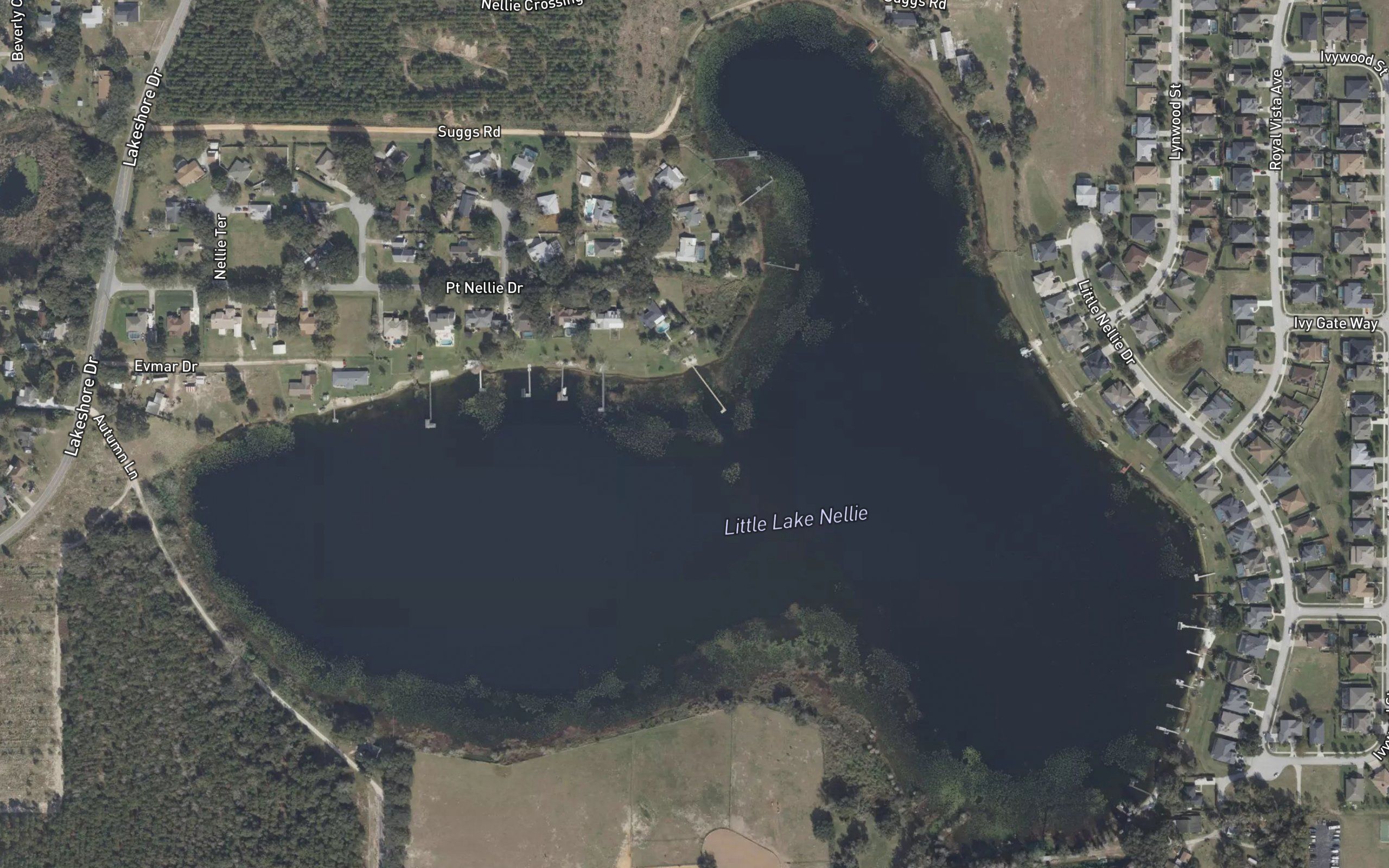Little Lake Nellie